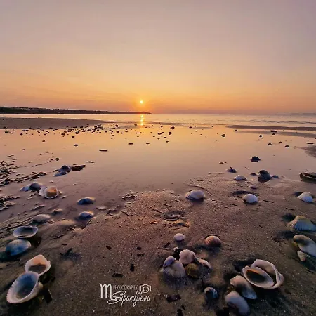 Santa Cruz Apartment