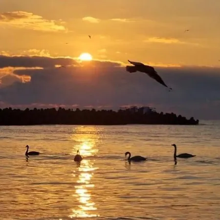 Santa Cruz Apartment *