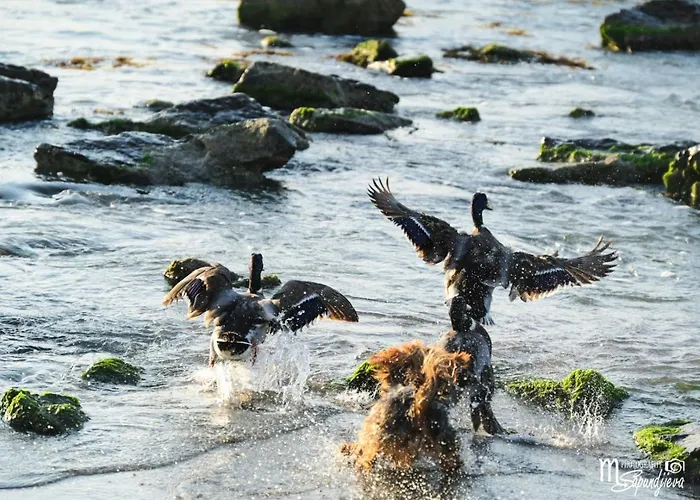 Santa Cruz Lejlighed Burgas City